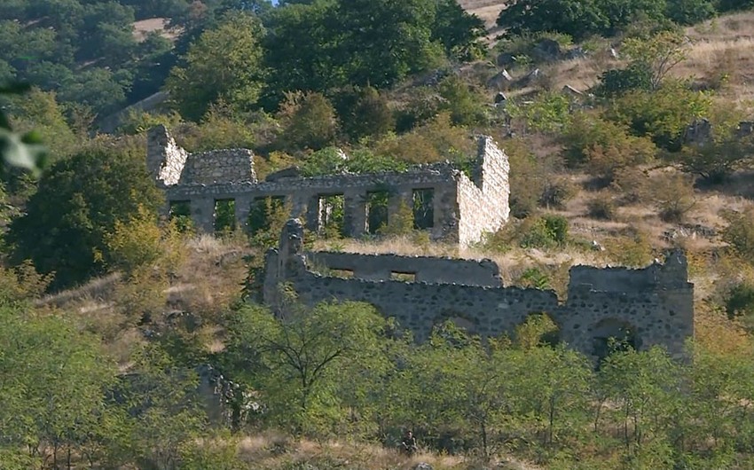 Sulh.Info.Az