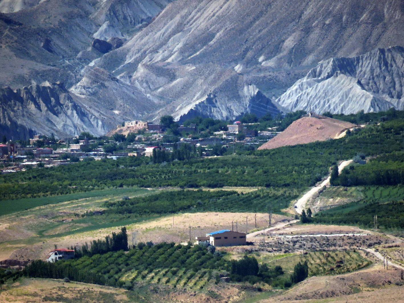 Sulh.Info.Az