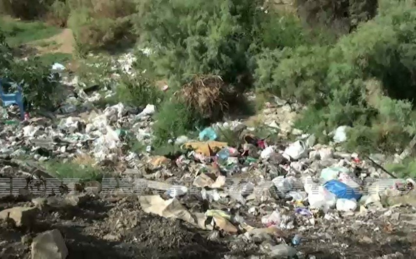 Sulh.Info.Az