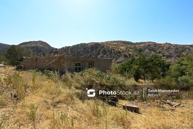 Sulh.Info.Az
