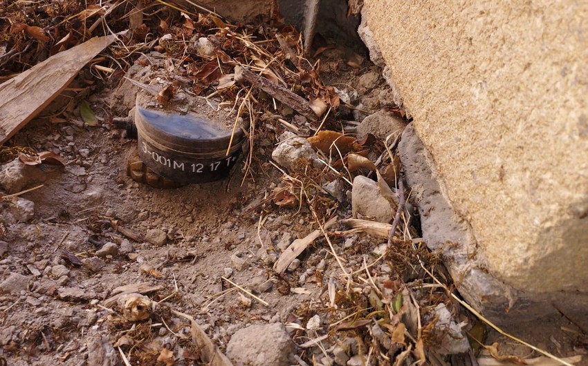 Sulh.Info.Az