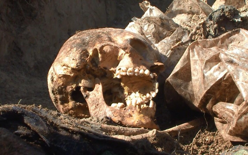 Sulh.Info.Az