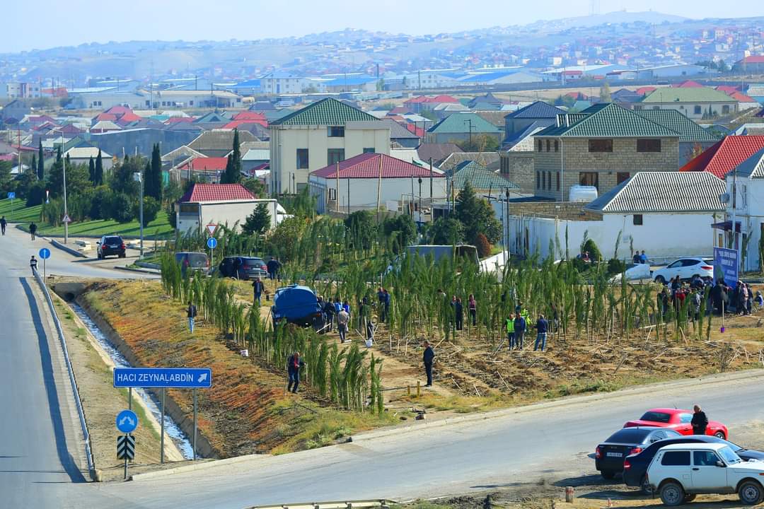 ​Binəqədi rayonunda “Yaşıl dünya naminə həmrəylik ili” çərçivəsində ağacəkmə aksiyası davam edir